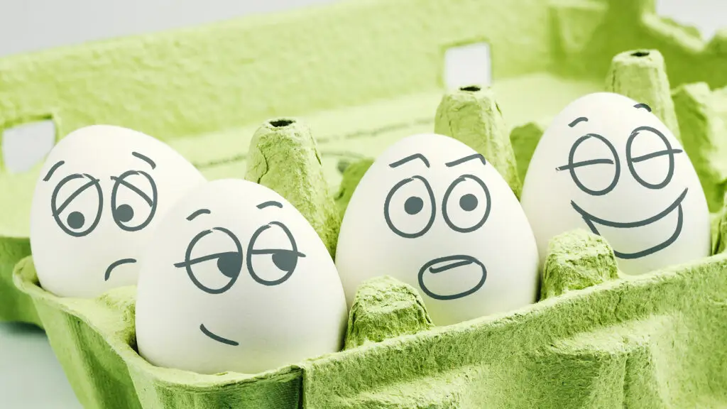 team personality types concept - four eggs in carton with expressions drawn on them